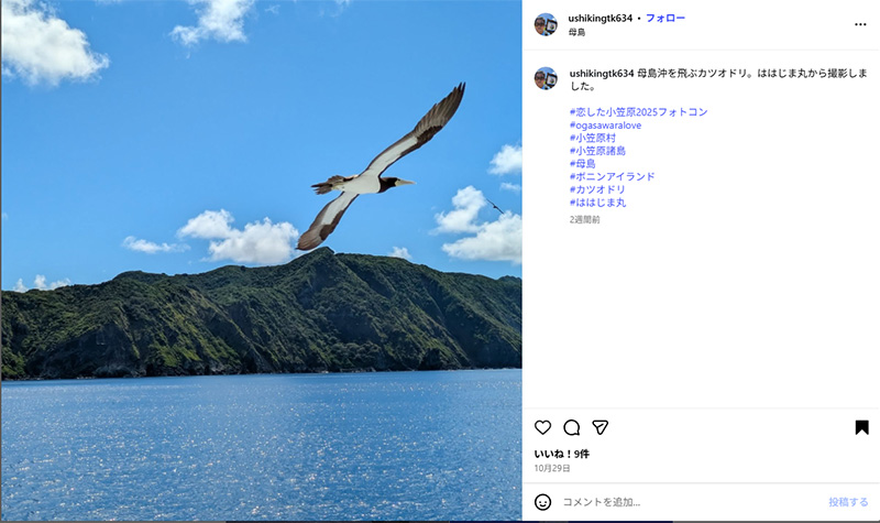 恋した小笠原2025フォトコン」採用作品が決定しました！ - 小笠原村観光局