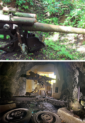 小笠原教育旅行｜平和・歴史学習