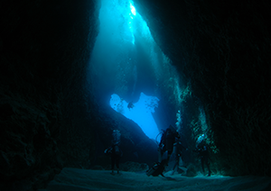 小笠原教育旅行｜自然体験