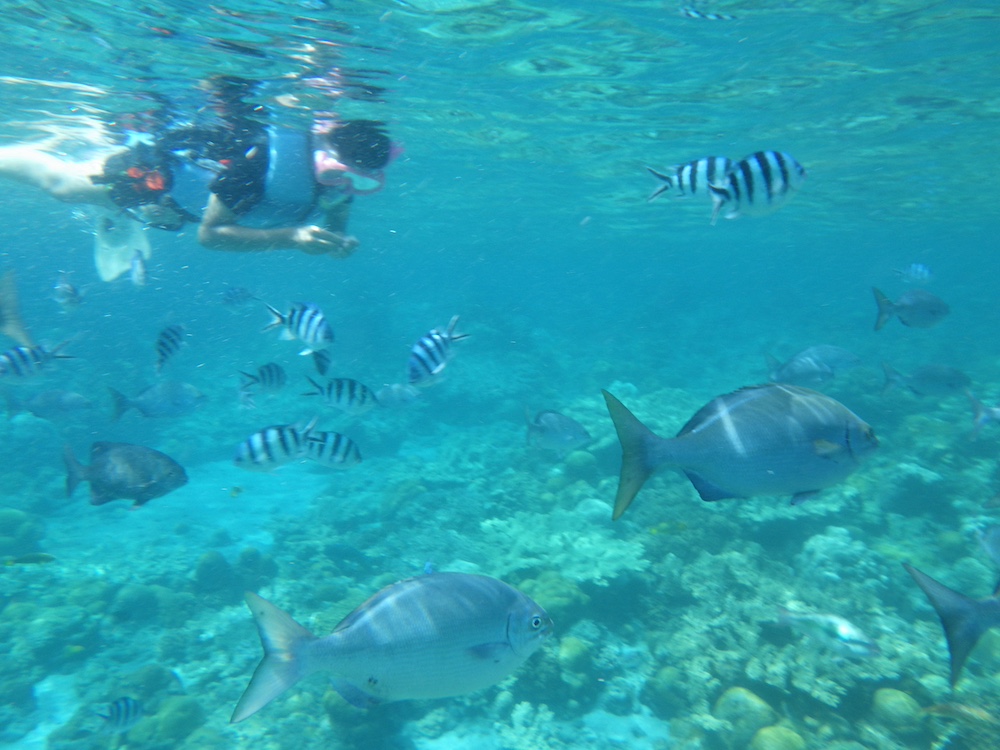 小笠原村教育旅行インタビュー｜立教小学校