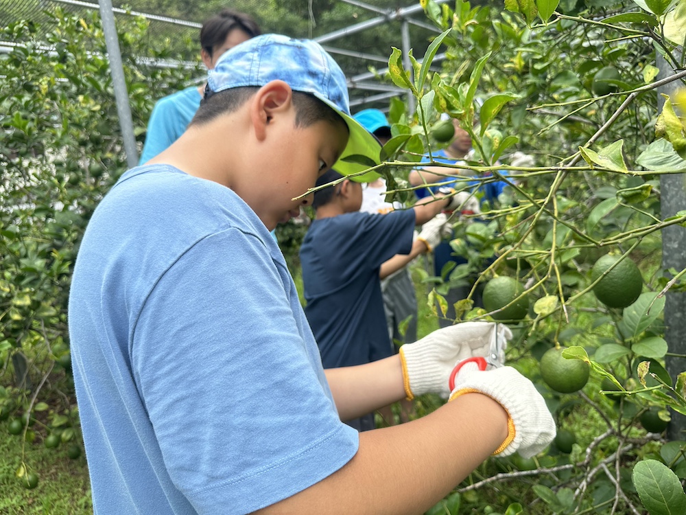 小笠原村教育旅行インタビュー｜立教小学校